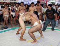sumo1