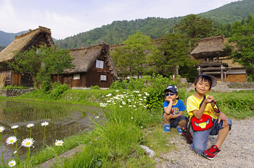 ชิราคาวาโกะ (SHIRAKAWAGOU)