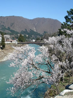 ชิราคาวาโกะ (SHIRAKAWAGOU)