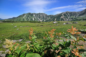 tateyama